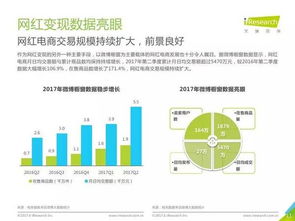 2017年中国网红经济洞察 从流量狂欢到商业变现的升级之路